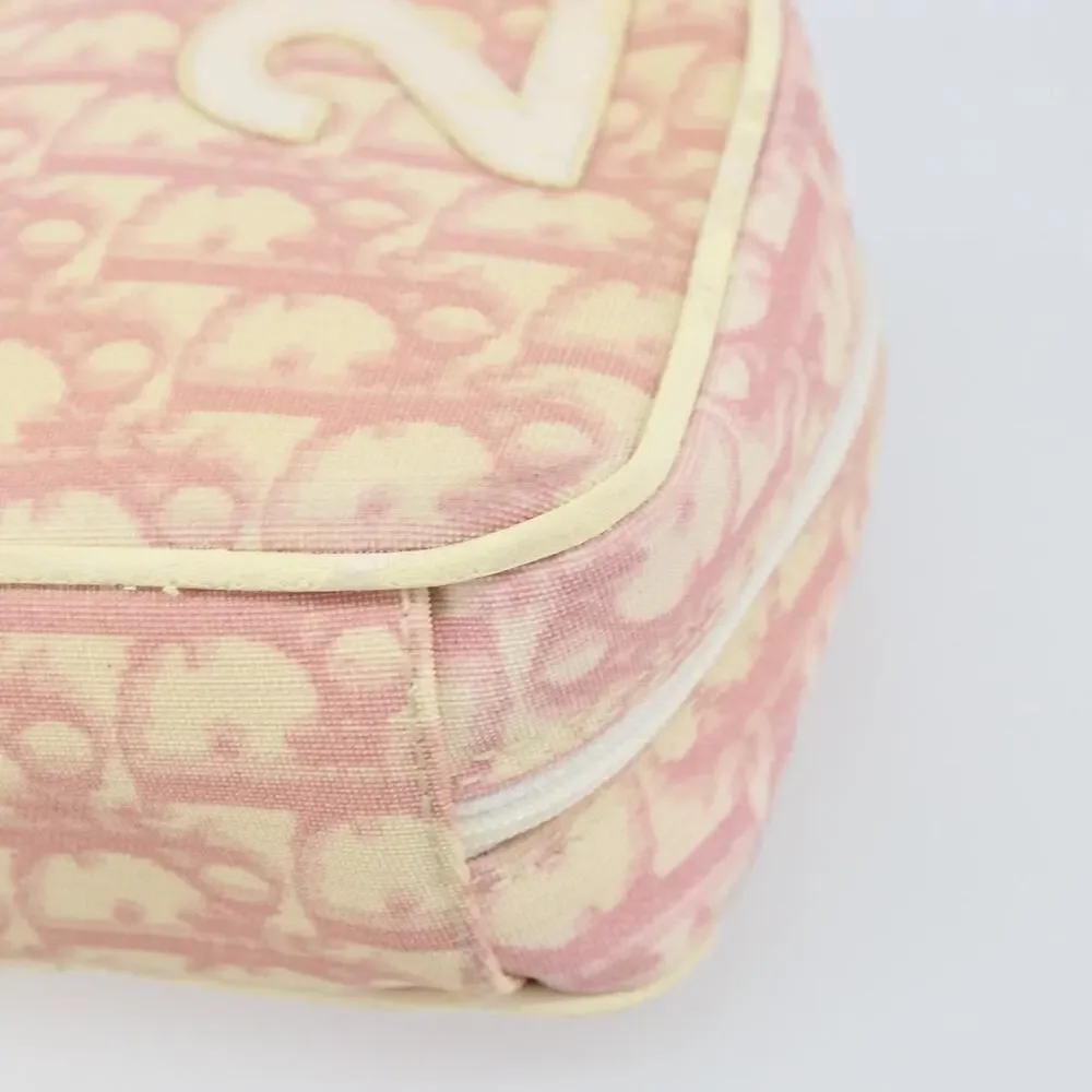 Dior Trotter Pouch Pink